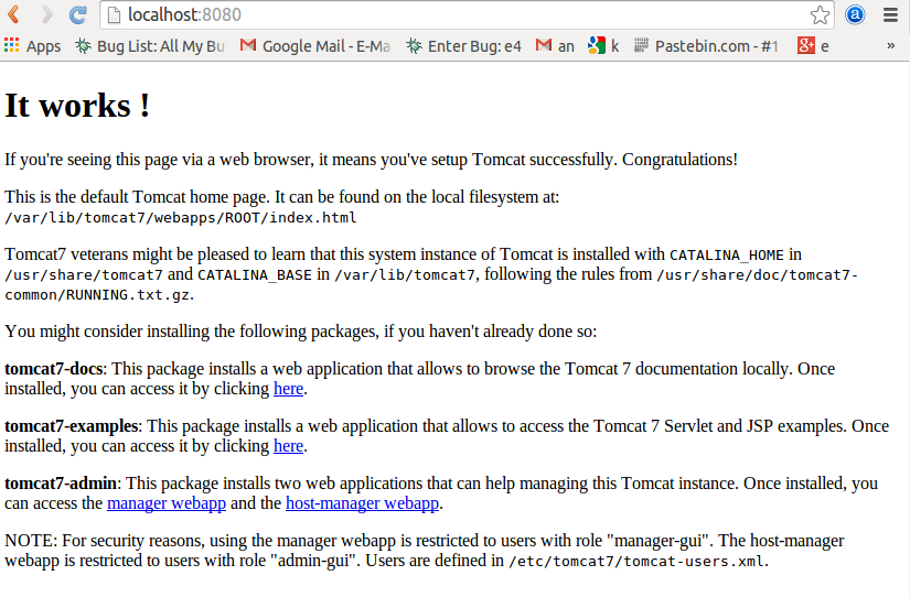 Tomcat initial page