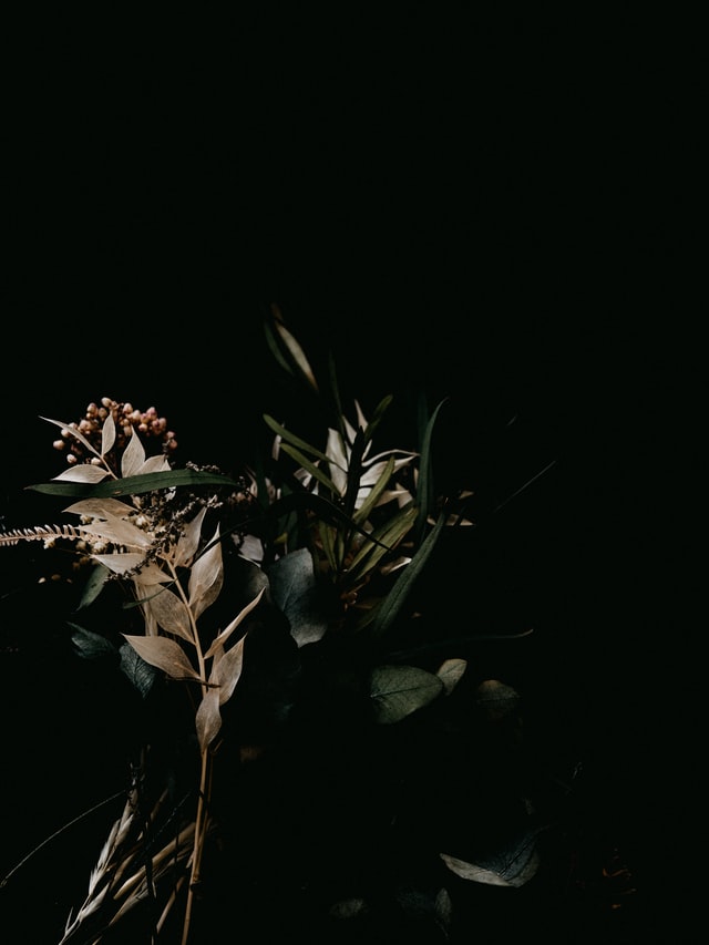 annie spratt xUKHtTN2NcU unsplash