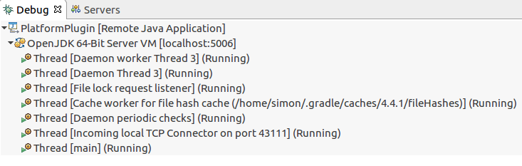 remote debug view